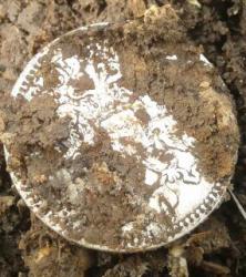 post-33499-0-56202900-1427477190_thumb.j