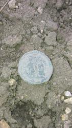 post-33513-0-97006000-1425291713_thumb.j