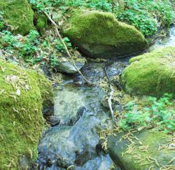 post-33553-0-62028200-1425686231_thumb.j