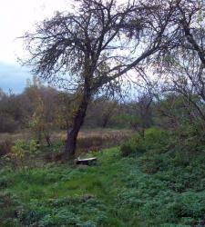 post-33553-0-63187400-1425686127_thumb.j