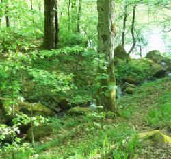 post-33553-0-70608500-1425686051_thumb.j