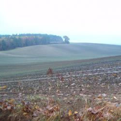 post-33553-0-77062800-1425686301_thumb.j