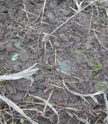 post-33553-0-79348400-1425687907_thumb.j