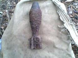 post-33553-0-83529700-1425688212_thumb.j