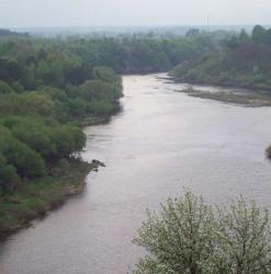 post-33553-0-89675400-1425686475_thumb.j