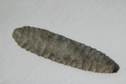 post-33714-0-53308100-1426492803_thumb.j