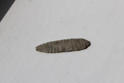 post-33714-0-68206500-1426492819_thumb.j