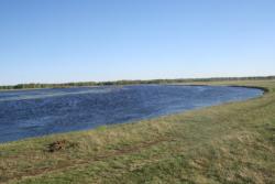 post-33717-0-28984800-1427816728_thumb.j