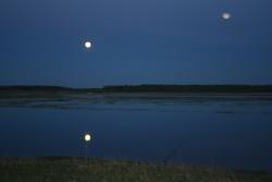 post-33717-0-33050000-1427816747_thumb.j