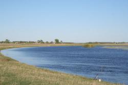 post-33717-0-93714400-1427816706_thumb.j