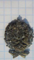 post-33784-0-20488600-1427022574_thumb.j