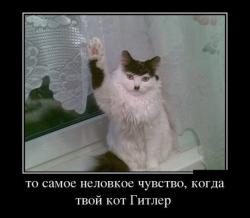 post-4533-0-31693100-1426343133_thumb.jp