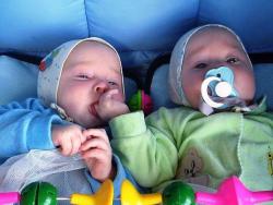 post-4989-0-11724900-1425916305_thumb.jp