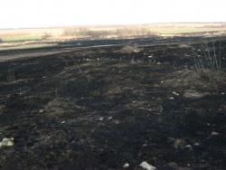 post-6890-0-76957200-1425658006_thumb.jp