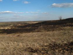 post-6890-0-78168000-1425658024_thumb.jp