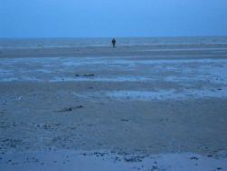 post-6890-0-93110200-1427135817_thumb.jp