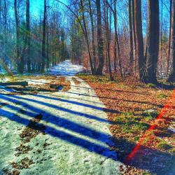 post-7929-0-26174700-1426441726_thumb.jp