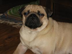 post-9886-0-83877300-1425739157_thumb.jp