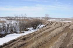 post-1023-0-01850800-1302440441_thumb.jp