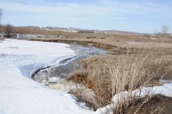 post-1023-0-48264900-1302440449_thumb.jp