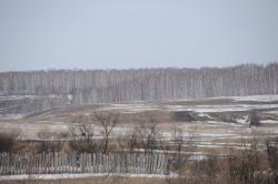 post-1023-0-60461800-1302440412_thumb.jp