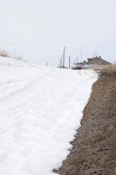 post-1023-0-63266500-1302440426_thumb.jp