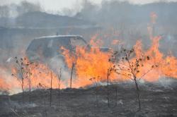 post-1023-0-91496100-1302965738_thumb.jp