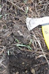 post-1023-0-91841600-1302440495_thumb.jp