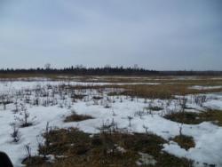 post-1668-0-33421900-1302450996_thumb.jp