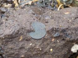 post-1668-0-46110400-1302451337_thumb.jp