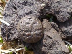 post-1668-0-79781100-1302451193_thumb.jp