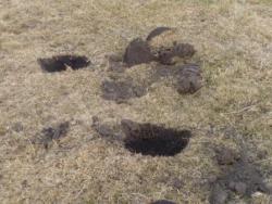 post-1668-0-83980300-1302452572_thumb.jp