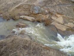 post-1668-0-89130600-1303060478_thumb.jp