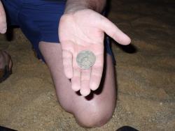 post-1788-0-10670900-1302013839_thumb.jp