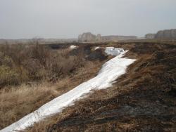 post-2079-0-39118900-1303487744_thumb.jp