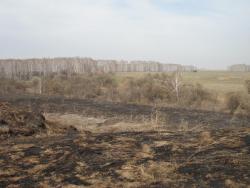 post-2079-0-74031700-1303487451_thumb.jp