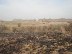 post-2079-0-98408600-1303487457_thumb.jp