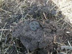 post-2293-0-01958300-1303049486_thumb.jp