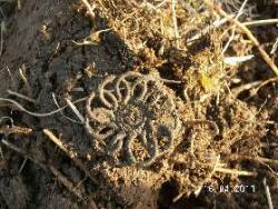 post-2293-0-37931000-1303049877_thumb.jp