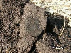 post-2293-0-76374400-1303049391_thumb.jp