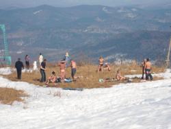 post-2547-0-13319400-1303142147_thumb.jp