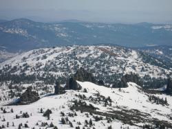 post-2547-0-69288800-1303142219_thumb.jp