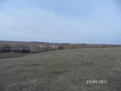 post-2817-0-11430700-1303574636_thumb.jp