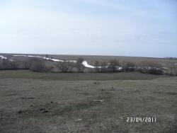 post-2817-0-97513900-1303574655_thumb.jp