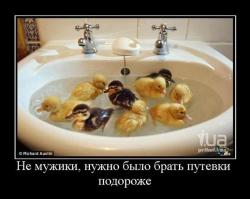 post-2838-0-05429600-1302026437_thumb.jp