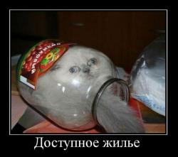 post-2838-0-22838100-1302026413_thumb.jp