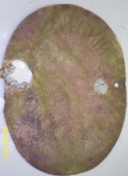 post-2898-0-28581700-1303821341_thumb.jp