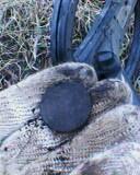 post-2898-0-81405300-1302180165_thumb.jp