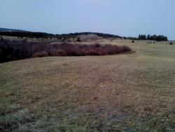 post-3348-0-11321800-1301922214_thumb.jp