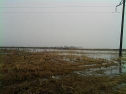 post-4369-0-02837800-1302850923_thumb.jp